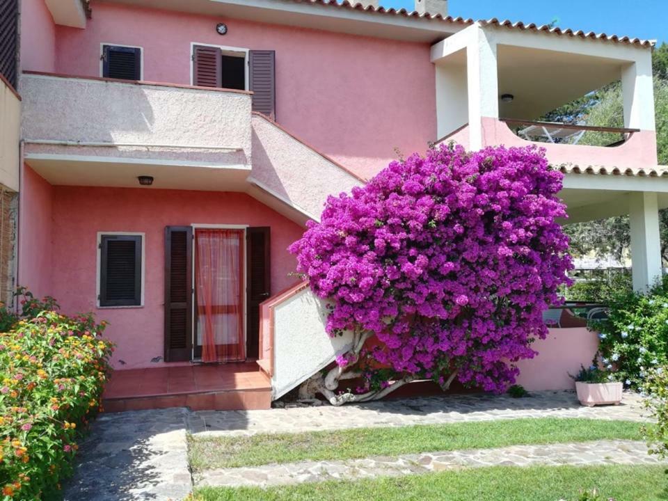 Casa Smeralda Cannigione Exterior photo